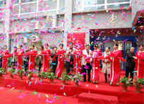 ����һ���������