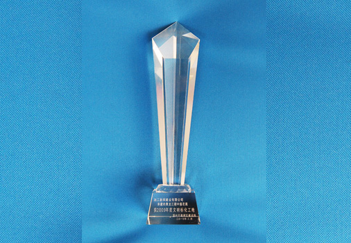 2009����ǿ��Է�껯